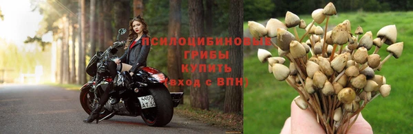 ешки Нязепетровск