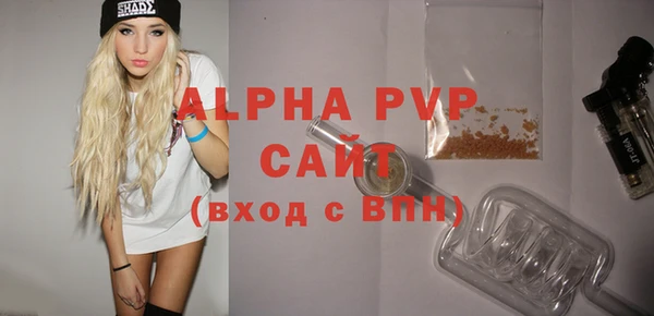 стафф Осташков
