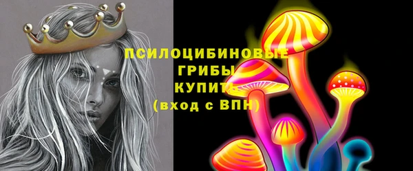 ГАЛЛЮЦИНОГЕННЫЕ ГРИБЫ Остров