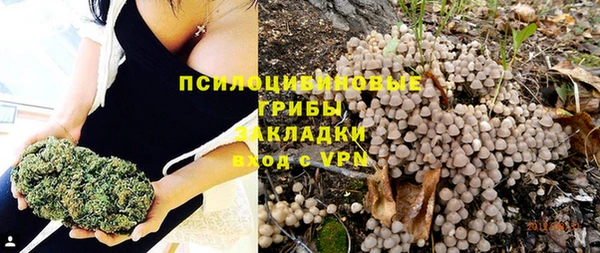 ГАЛЛЮЦИНОГЕННЫЕ ГРИБЫ Остров